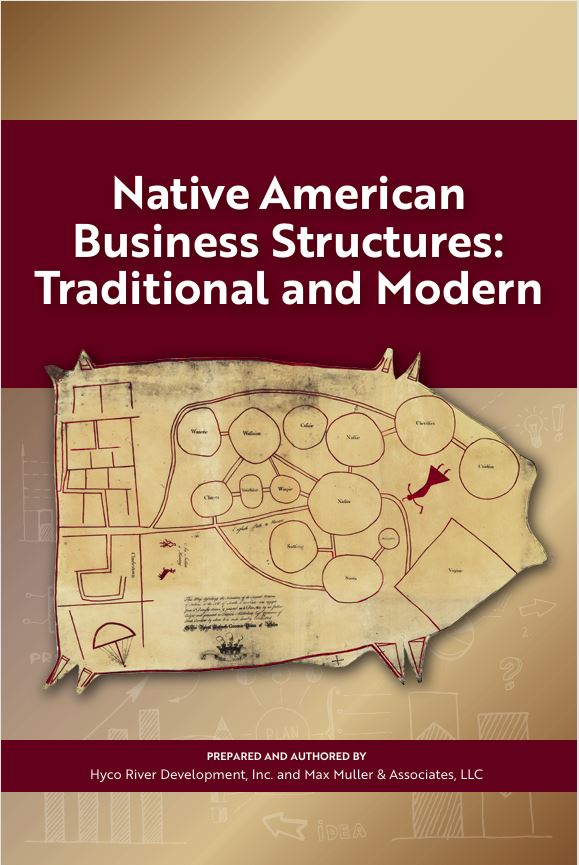 Book cover: Native American business structures.
